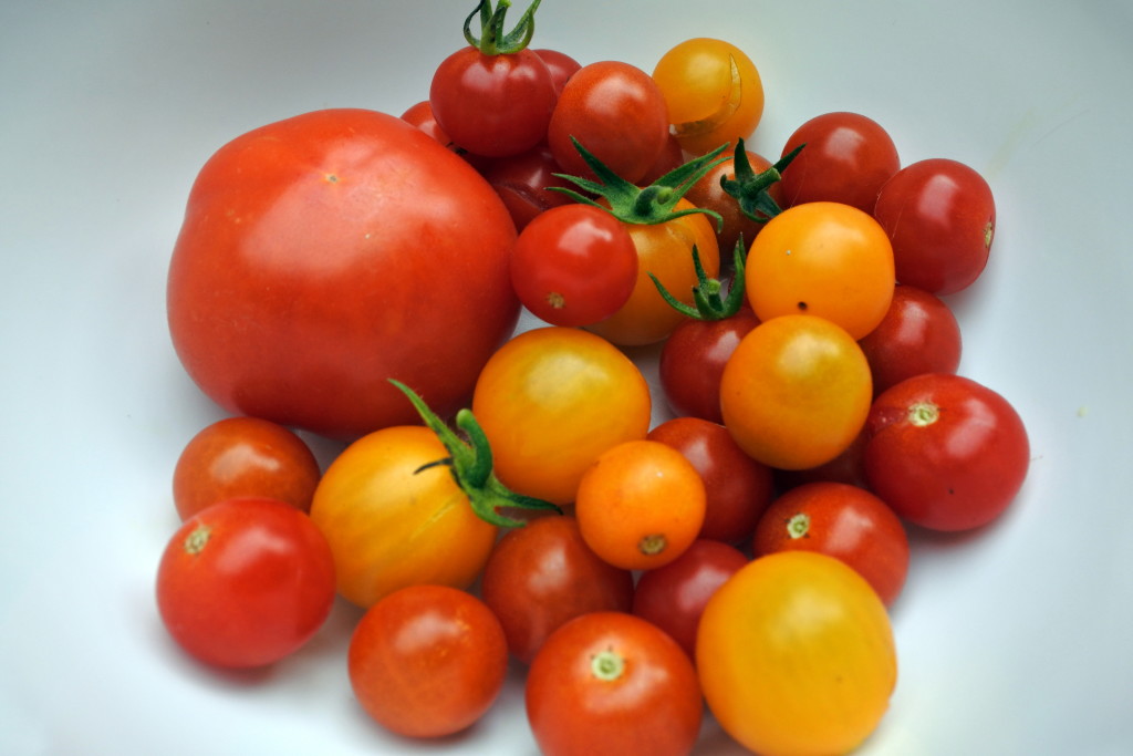tomato basil gnocchi (8) bright