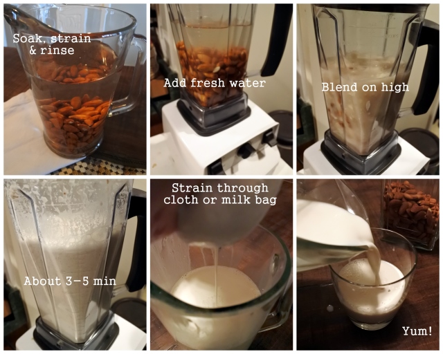 healthy recipe homemade milk vegan sugar-free dairy-free minimalist soy-free corn-free