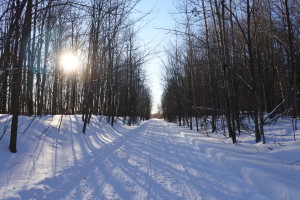 Navan trail forest adventures with kids Ottawa Ontario
