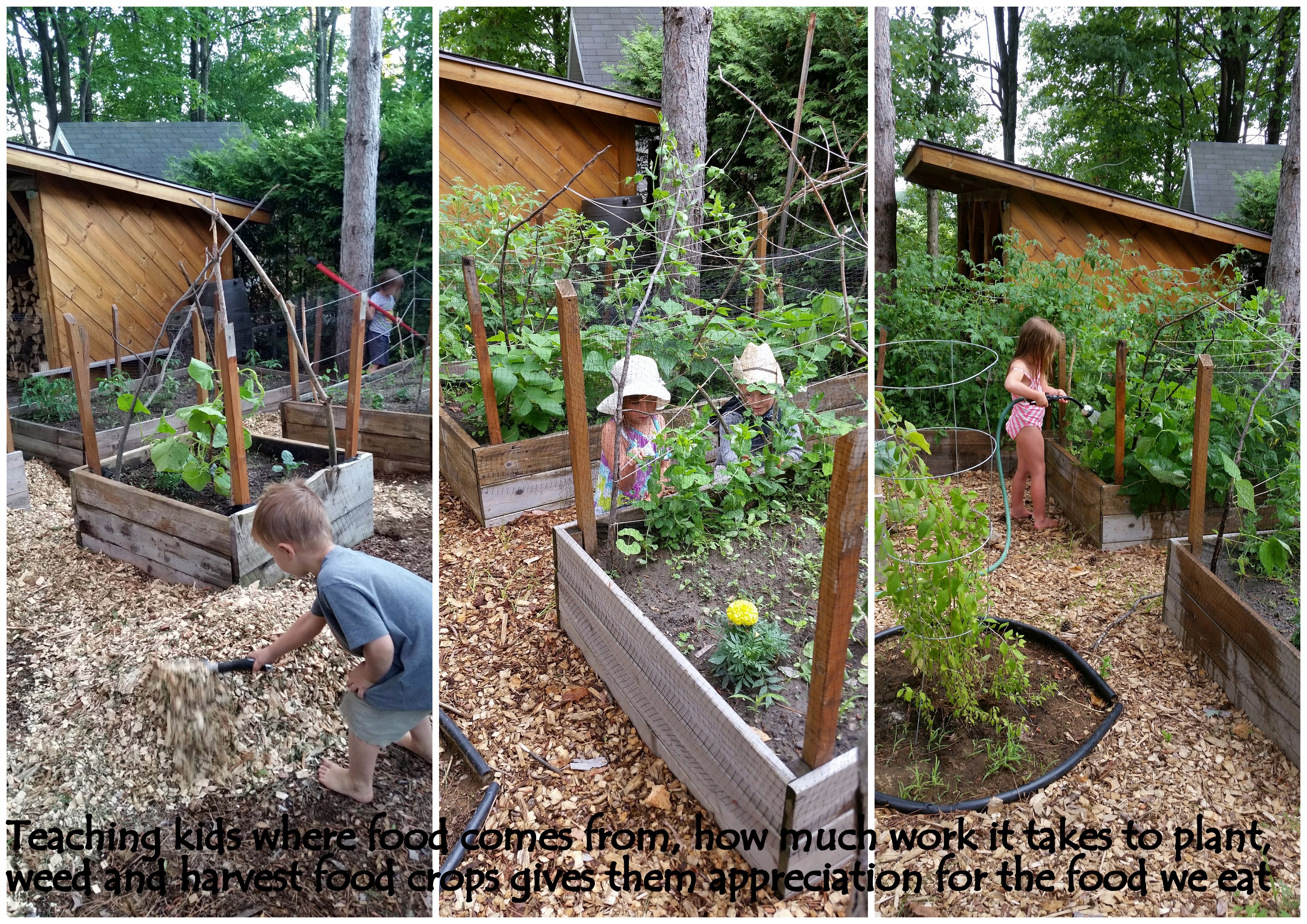 garden kids organic planting tips permaulture ottawa ontario farming food local