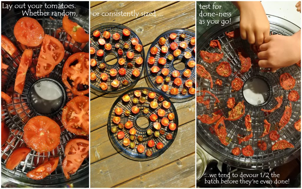 homemade sundried tomatoes dehydrate zero waste organic food healthy eating kids snacks recipe