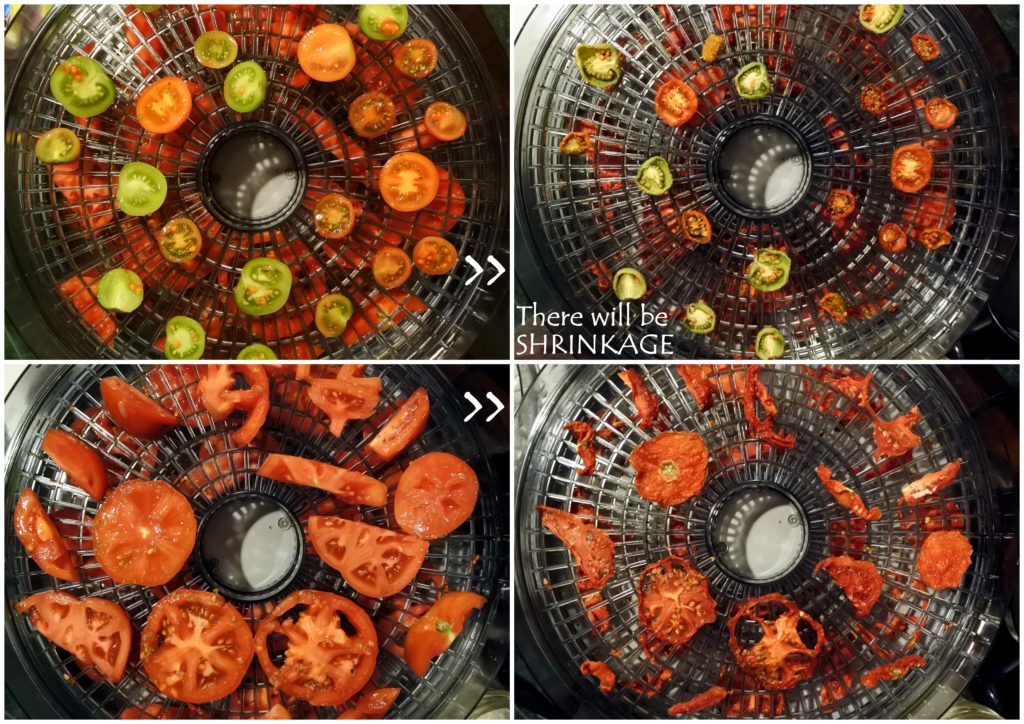 sundried tomatoes dehydrator shrink zero waste homemade