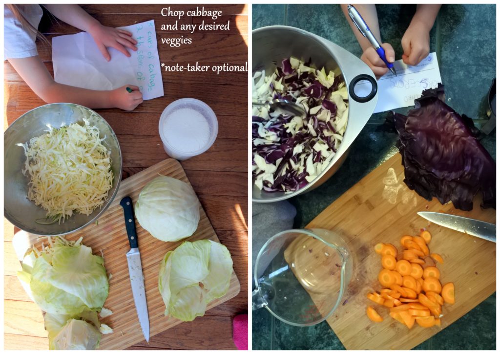 sauerkraut fermented food recipe probiotics gut health ottawa foodie zero waste