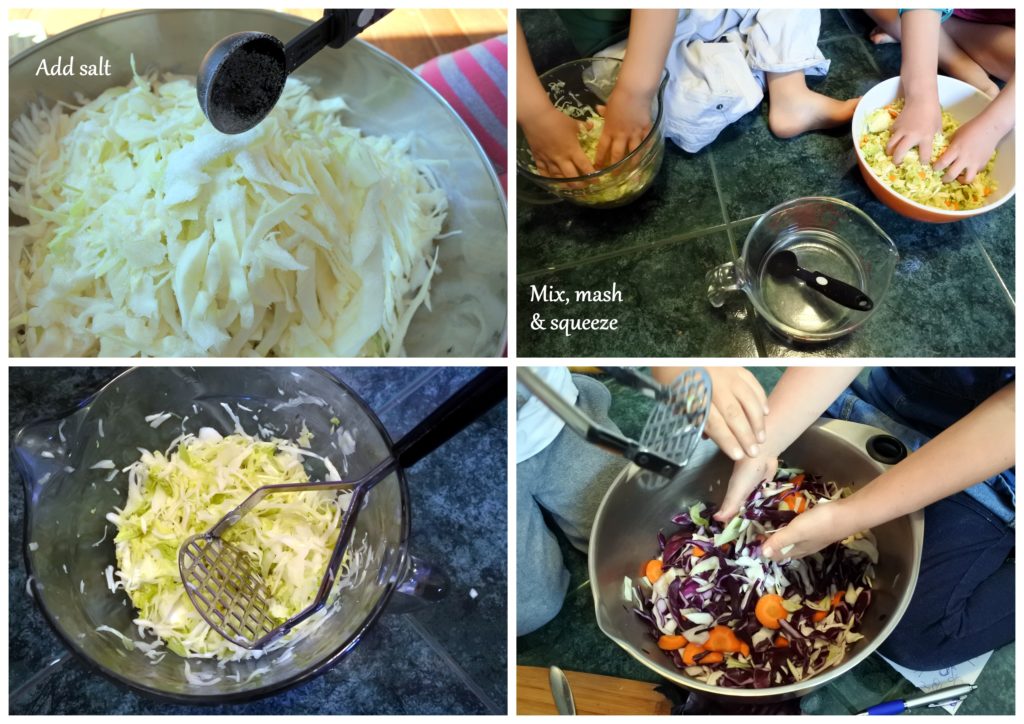 sauerkraut probiotic gut health recipe ottawa foodie zero waste fermented lacto-fermentation