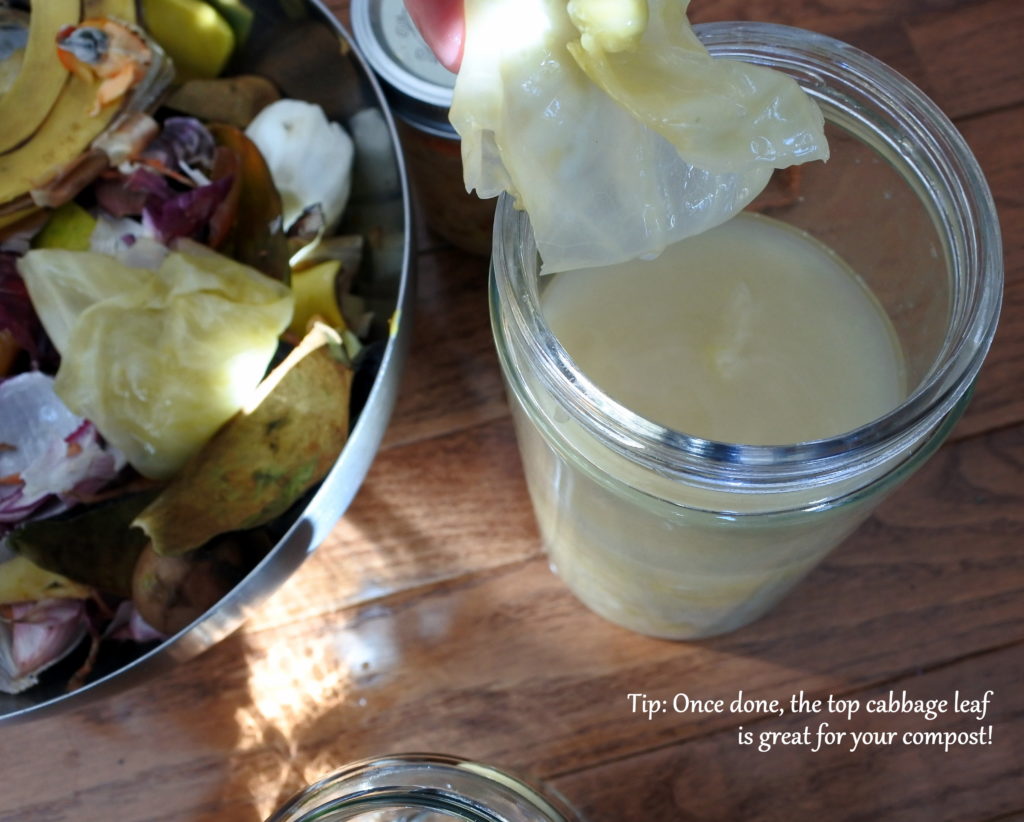 sauerkraut probiotic fermented food ottawa jackie lane zero waste gut health recipes
