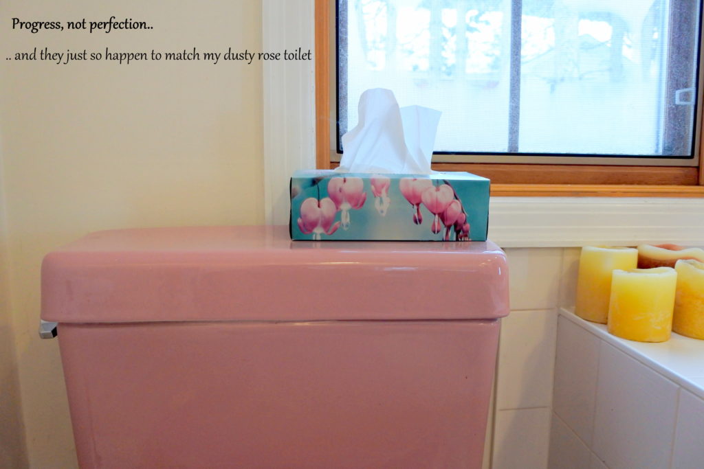 retro pink toilet bathroom tissue kleenex toiletries green household cleaning products soap sustainable zero waste ottawa